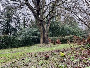 Photo 40- click for photo gallery